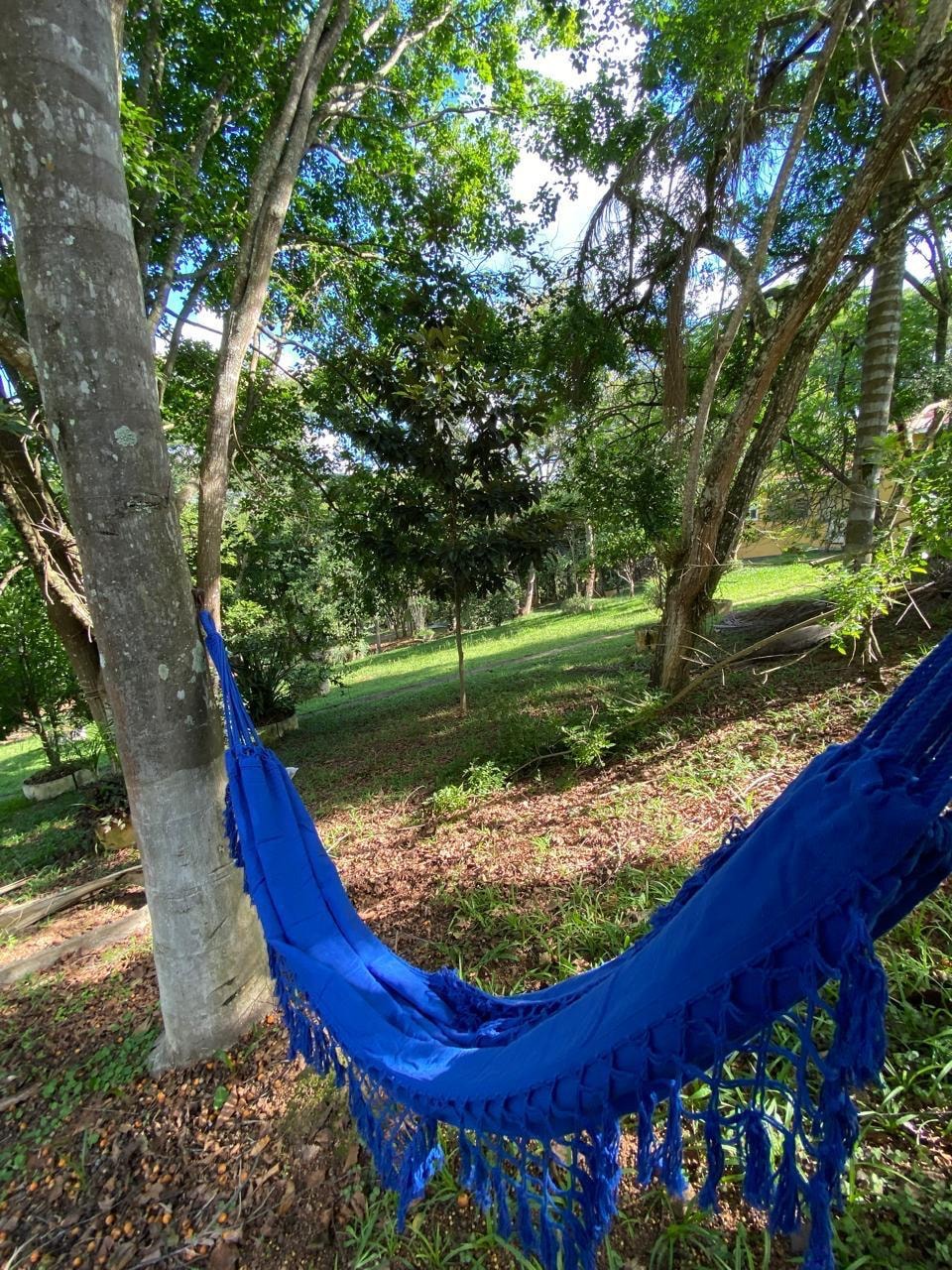 Redes na Floresta
